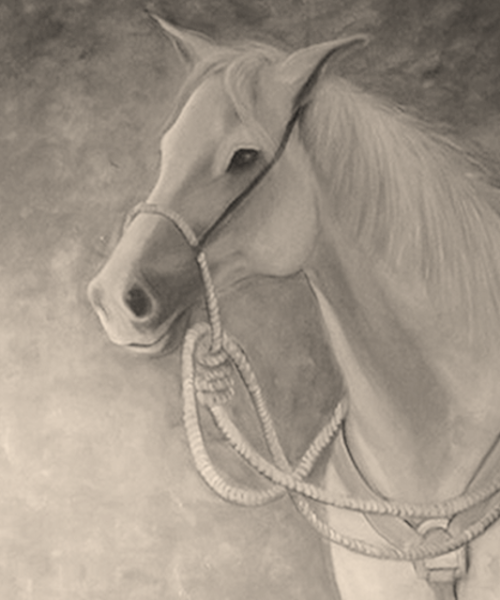 cavalo marisa ranali pb.png